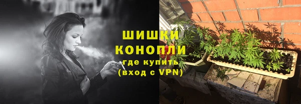 гашик Алзамай