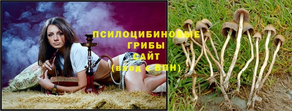 PSILOCYBIN Алексеевка