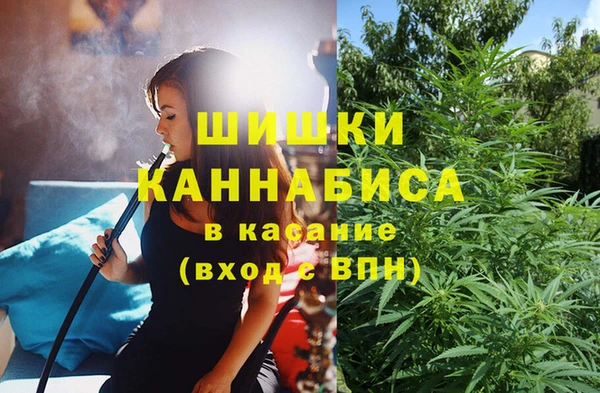 гашик Алзамай