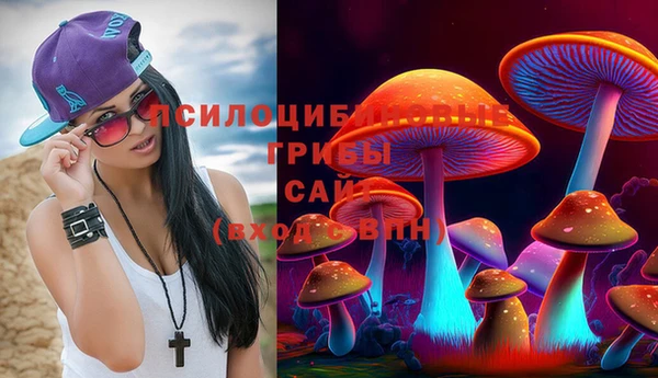 гашик Алзамай