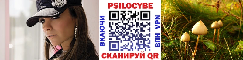 Псилоцибиновые грибы Cubensis  даркнет какой сайт  Сенгилей 